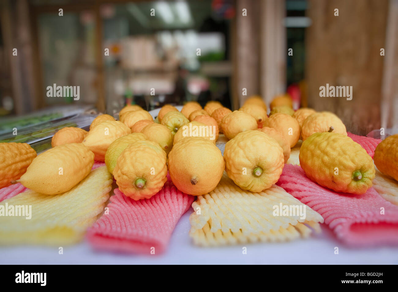 Israele. Ethrog (citron) frutti, usato per i riti ebraici a Succot holiday (i tabernacoli), visualizzata in vendita. Foto Stock