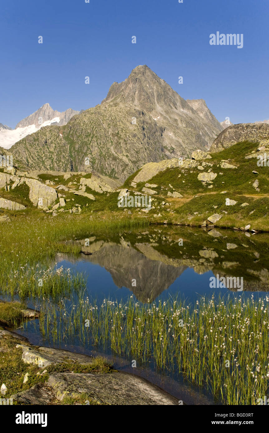 Piccolo lago di montagna su Zinggen montagna, di fronte Scheuchzerhorn Zinggenstock e montagne, Passo del Grimsel, il cantone di Berna, S Foto Stock