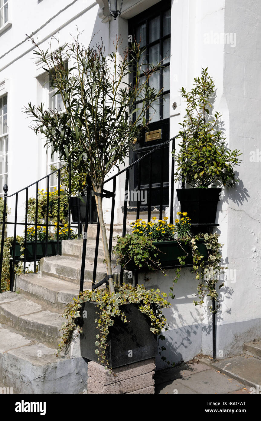 Casa con le piante al di fuori del villaggio di Highgate Londra Inghilterra REGNO UNITO Foto Stock