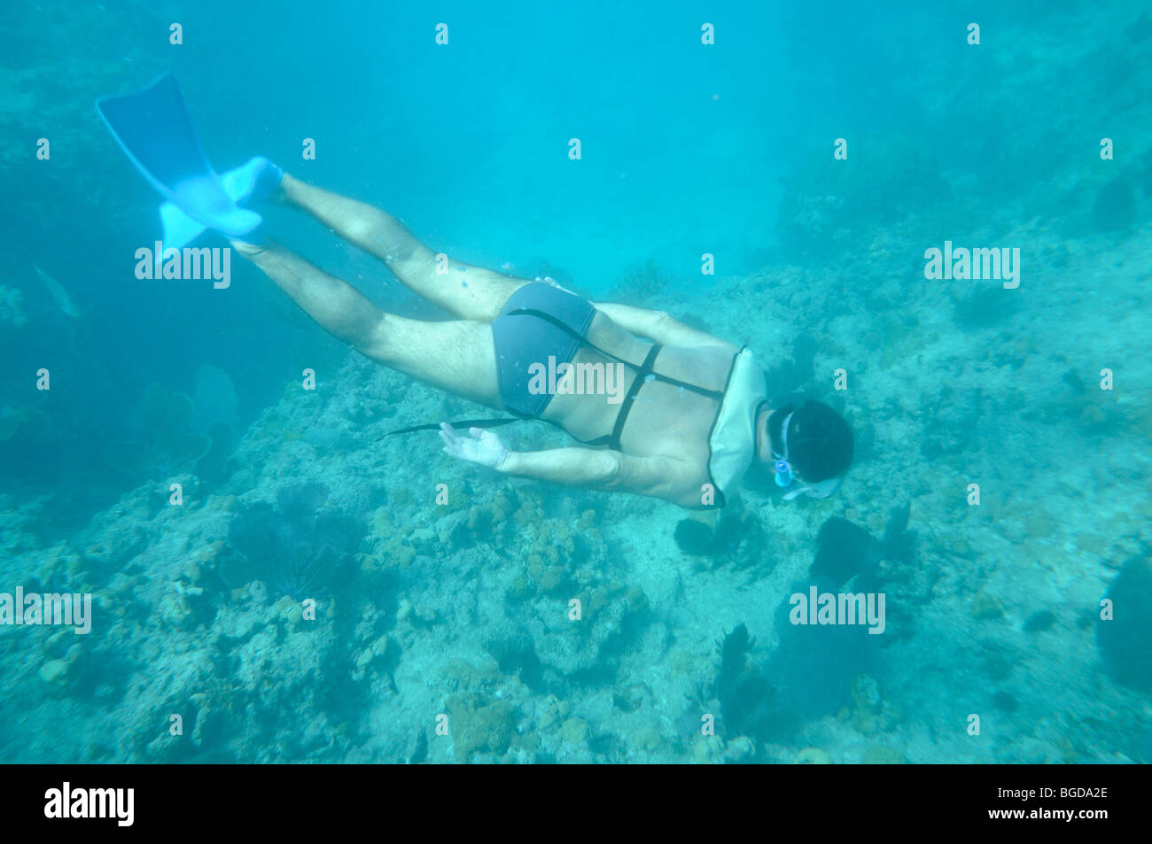 Immagine subacquea di un snorkeler Foto Stock