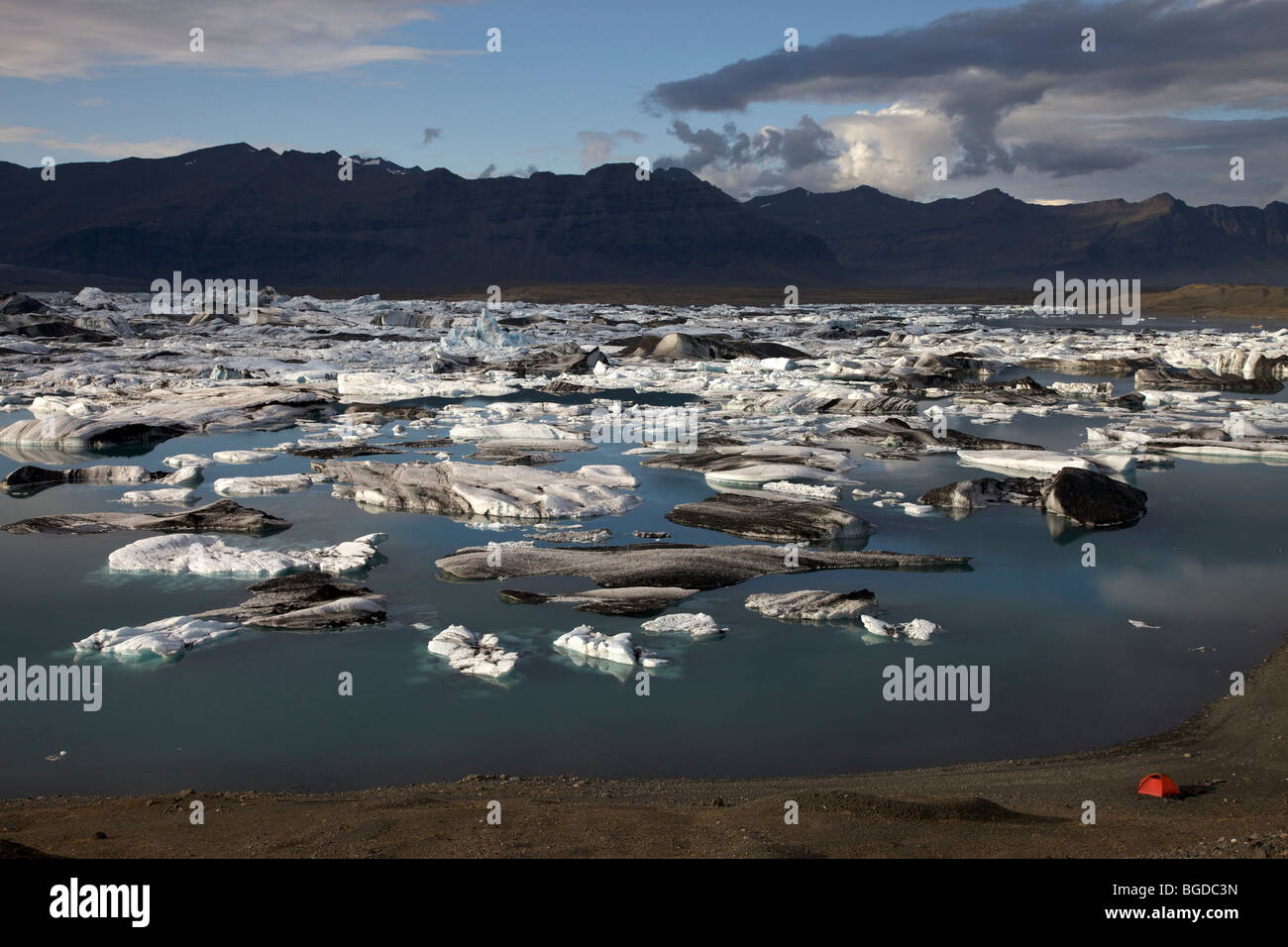 Iceberg e ice floes, Joekulsárlón lago glaciale, Islanda, Europa Foto Stock