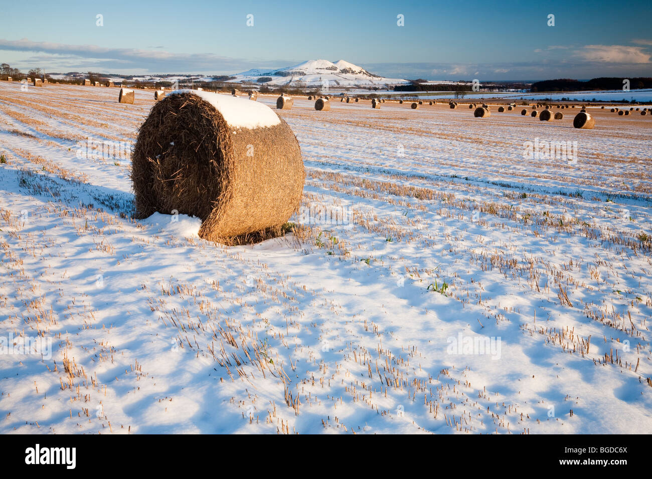 Le balle di paglia e largo diritto in inverno, Scozia Foto Stock