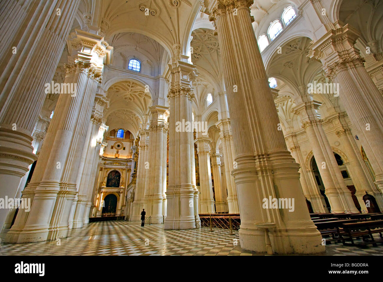 Le colonne e il tetto della Cattedrale di Granada, città di Granada, provincia di Granada, Andalusia (Andalucia), Spagna, Europa. Foto Stock