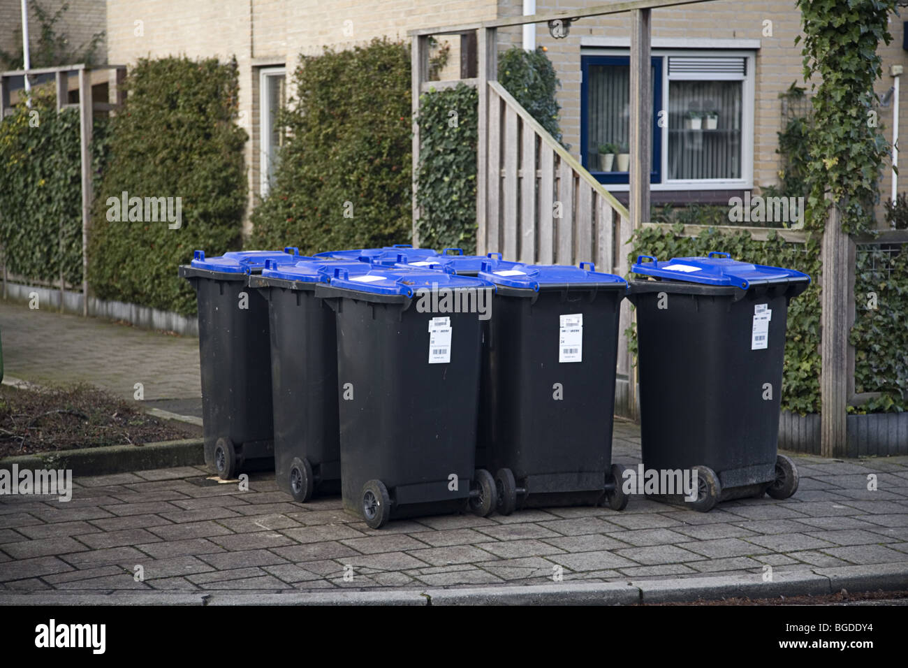 Contenitori con carta dovuta per il riciclaggio in piedi pronti a raccogliere, Paesi Bassi Foto Stock