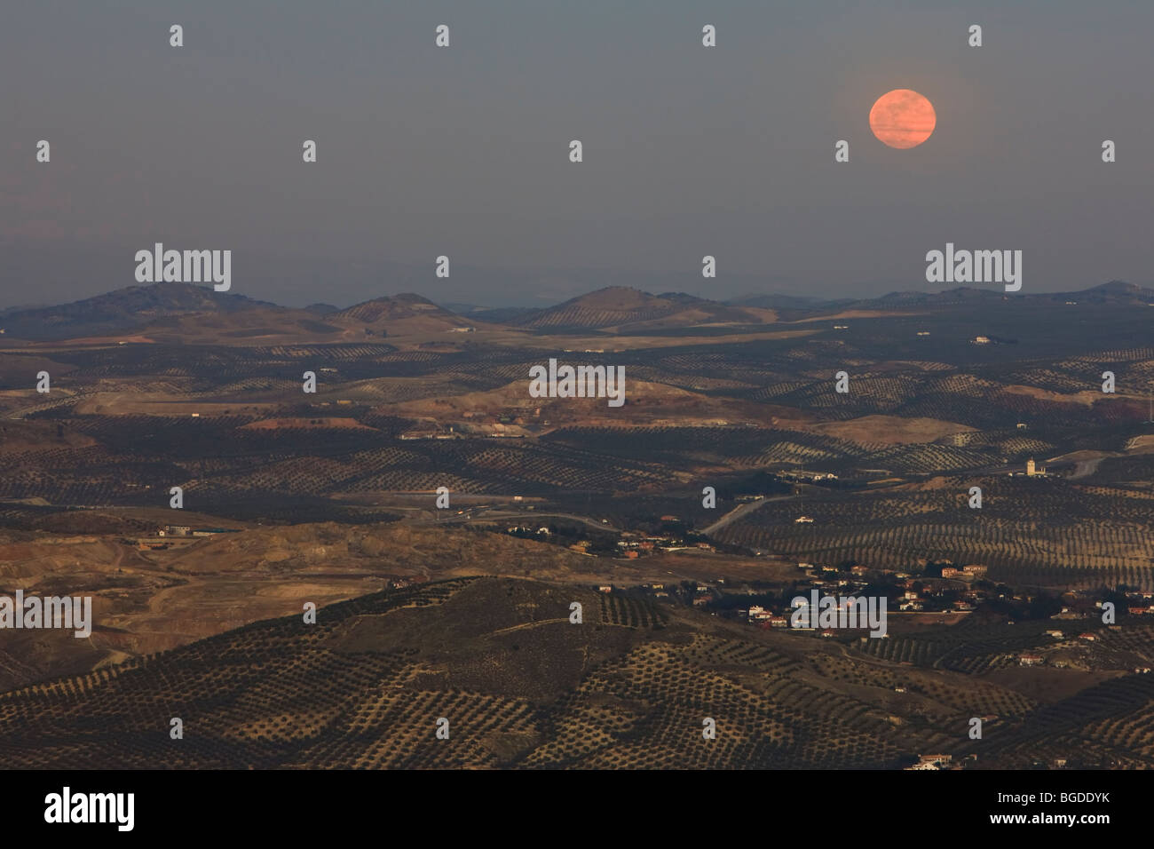 Luna luogo dopo il tramonto su oliveti e la città di Jaen, provincia di Jaén, Andalusia (Andalucia), Spagna, Europa. Foto Stock