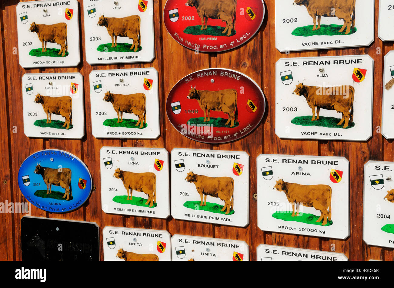 Scudetti, premiato caseificio, Le Pont de Martel, Canton Berna, Svizzera, Europa Foto Stock
