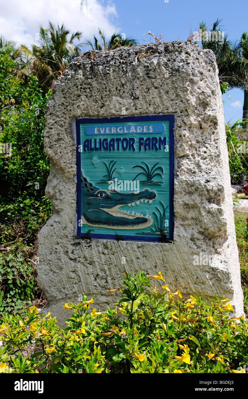 Everglades Alligator Farm Homestead Miami, Florida, Stati Uniti d'America Foto Stock