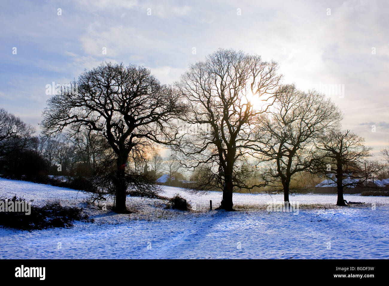 Neve in un campo a Westley altezze in Essex. Foto Stock