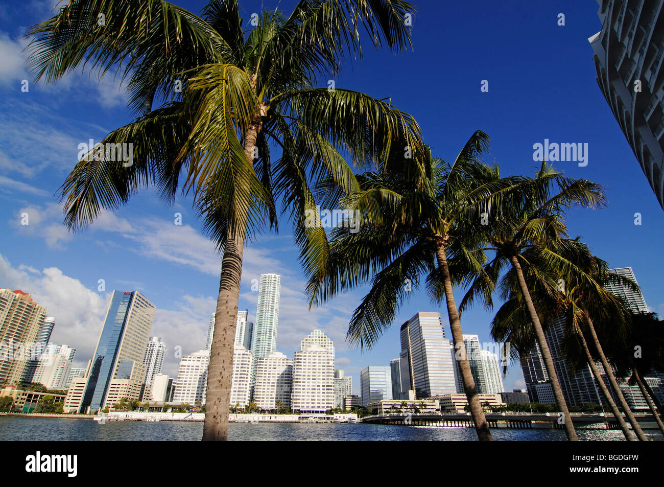 Brickell Key Drive, Downtown Miami, Florida, Stati Uniti d'America Foto Stock