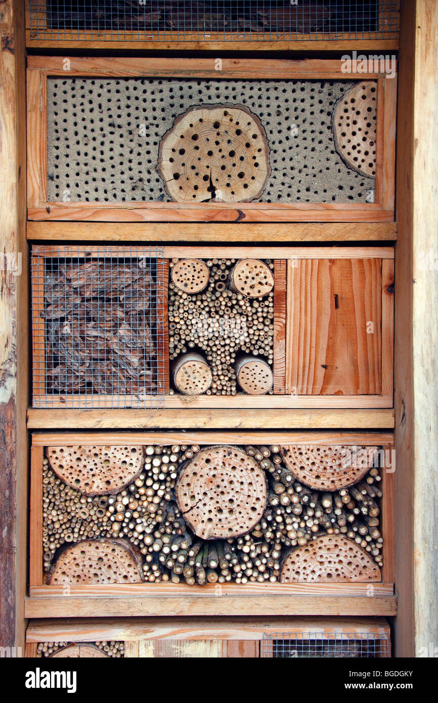 Nido artificiale di scatole per api selvatiche e altri insetti, legno, argilla, e steli di bacche di sambuco, api selvatiche-scatole di nido, insetto scatole di nido Foto Stock