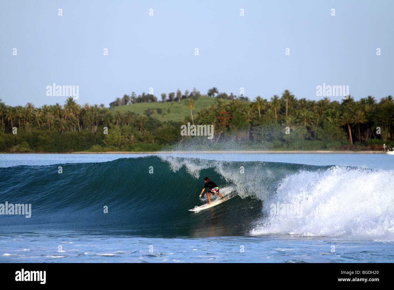 Giovane surfista locale su un'onda nella suggestiva cornice di Lagundri Bay sull'isola di Nias, Sumatra, Indonesia Foto Stock