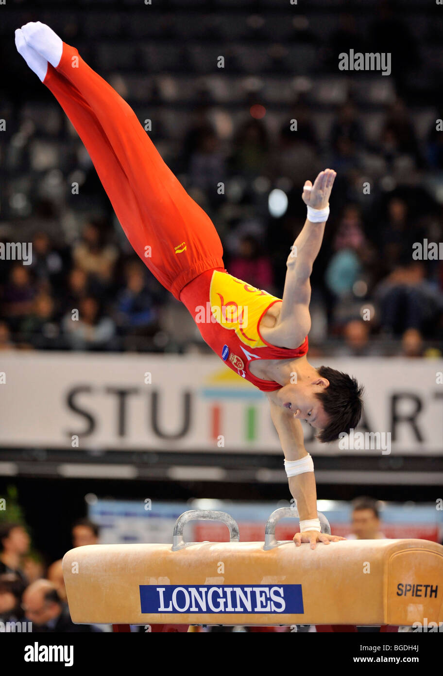 Hongtao Zhang, Cina, sul cavallo, EnBW Gymnastics World Cup 2009, Porsche-Arena, Stoccarda, Baden-Wuerttemberg, Tedesco Foto Stock