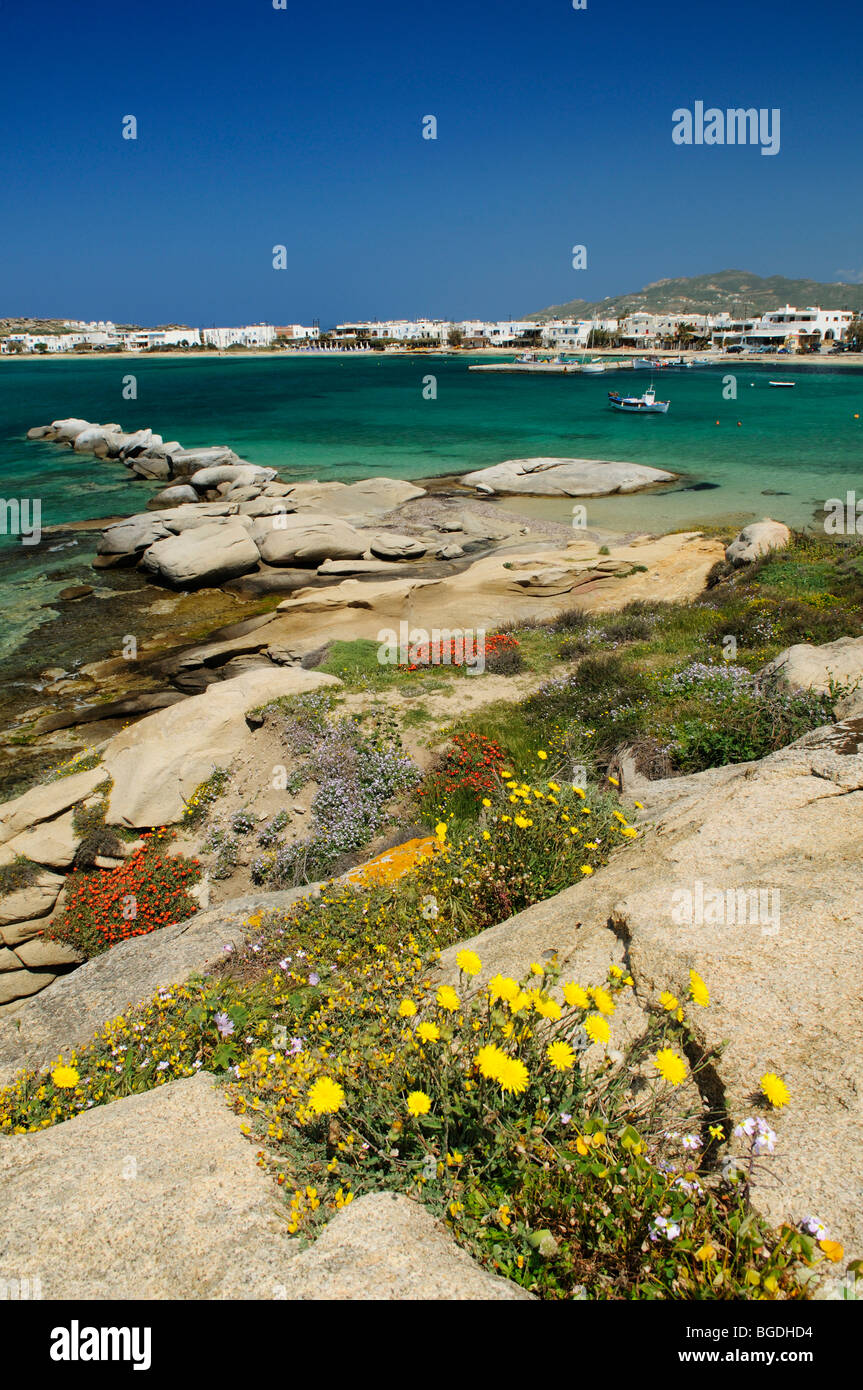 Aghia Anna beach, Naxos, Cicladi Grecia, Europa Foto Stock