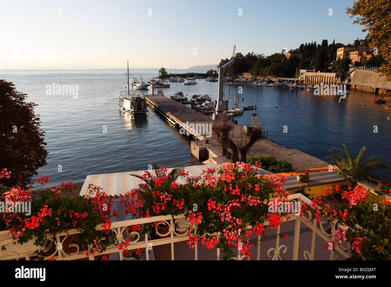 Vista da un balcone di gerani sul porto di pesca, barche da pesca, Ika, Istria, Quarnaro, Croazia, Europa Foto Stock