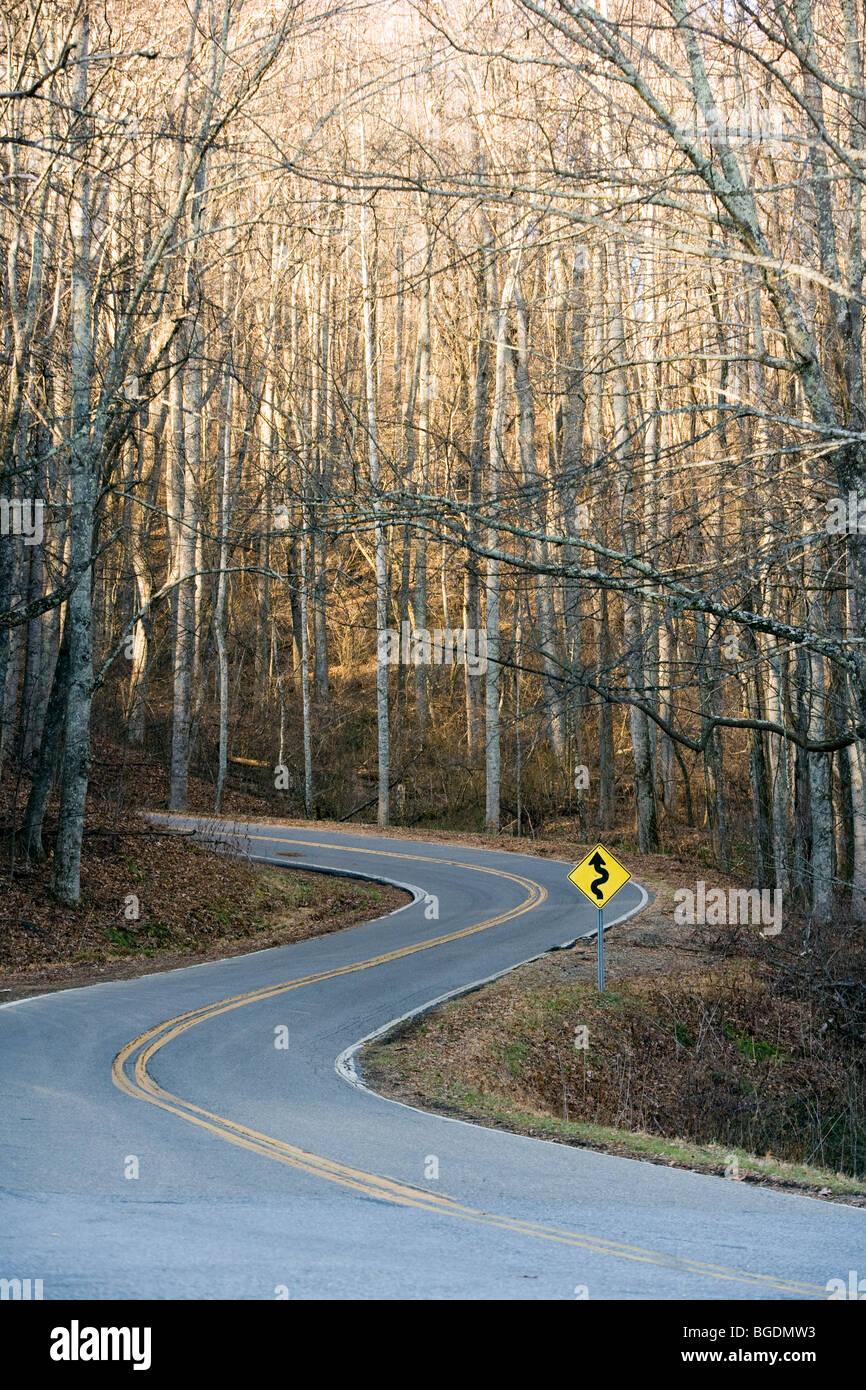 Avvolgimento su strada la Blue Ridge Parkway - vicino a Asheville, North Carolina, STATI UNITI D'AMERICA Foto Stock