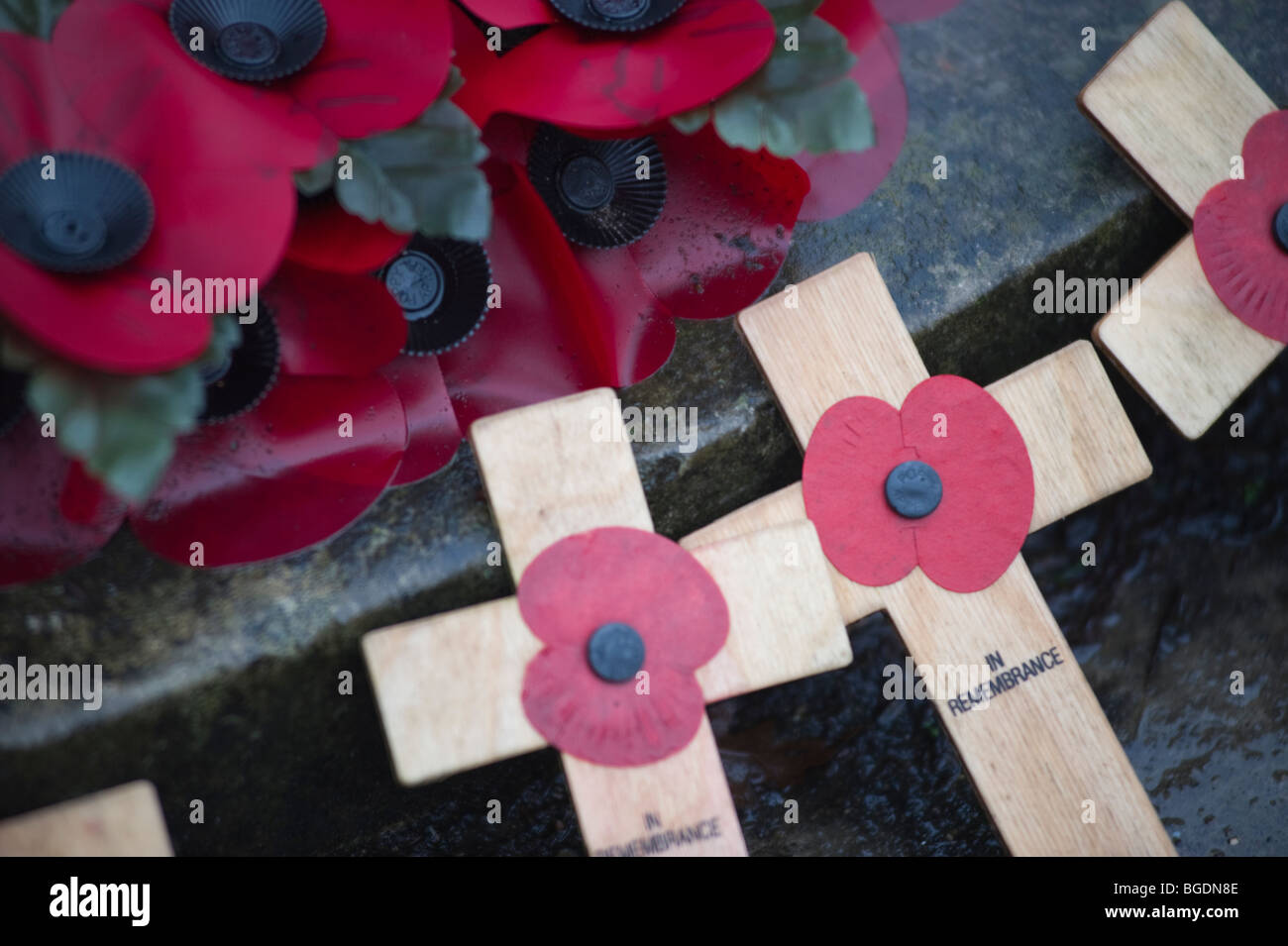 Simbolico papaveri artificiale al memoriale di guerra in Inghilterra. Foto Stock