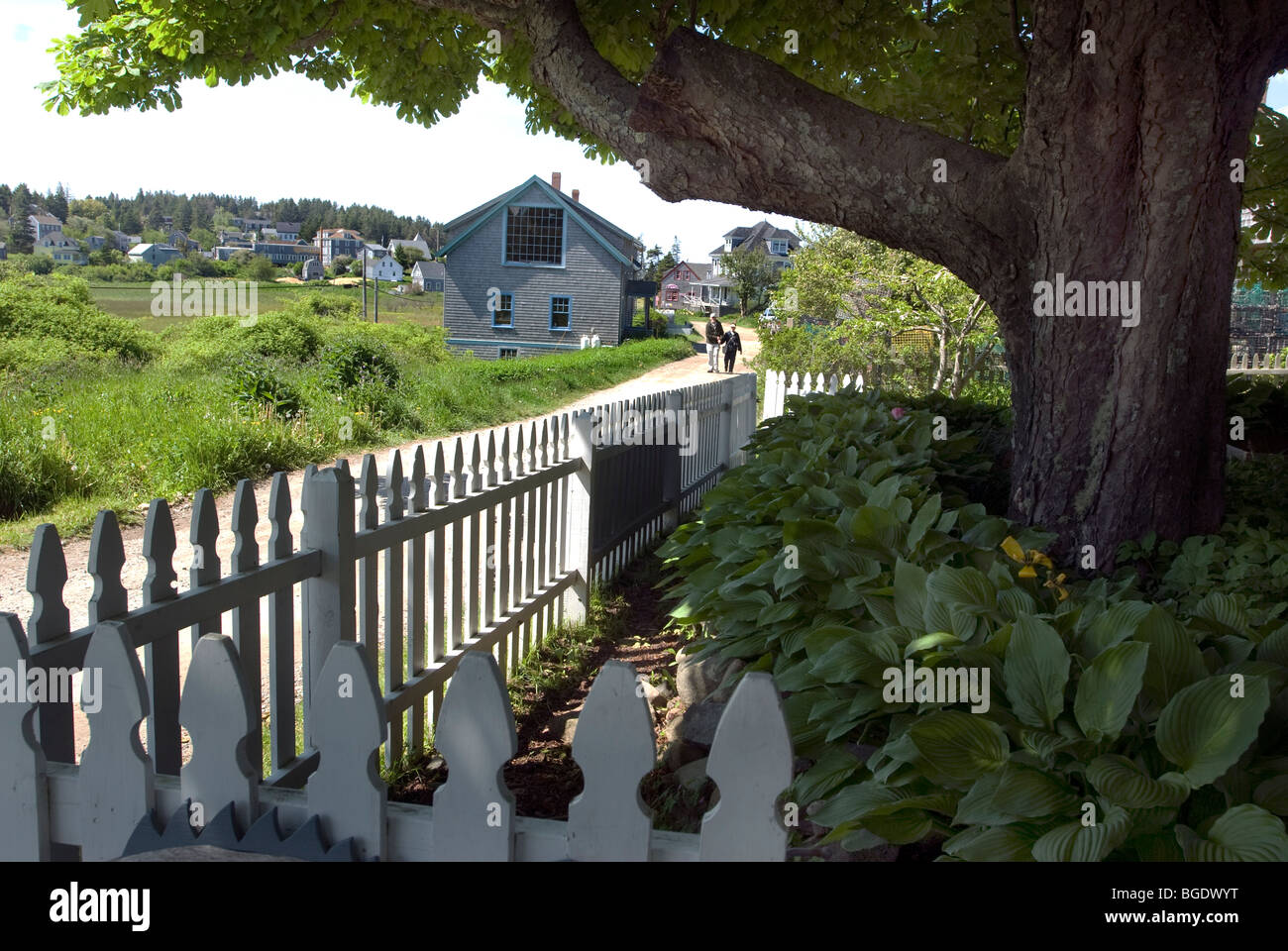 Monhegan Island è una destinazione per gli escursionisti amanti della natura e degli artisti. Un giovane a piedi giù per la strada non pavimentata. Foto Stock