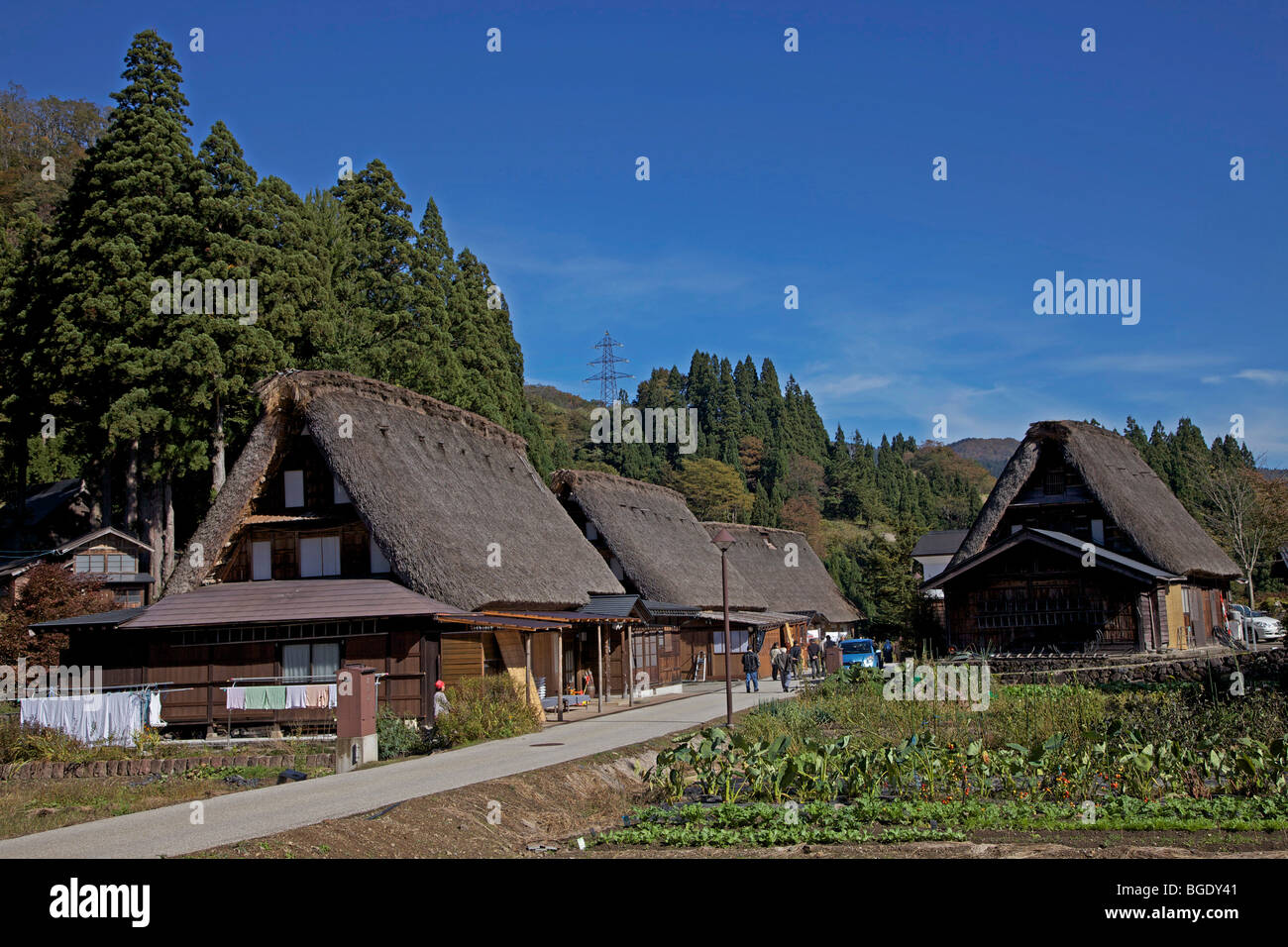 Fattorie con il tetto di paglia del villaggio Ainokura, Toyama-ken, Giappone Foto Stock
