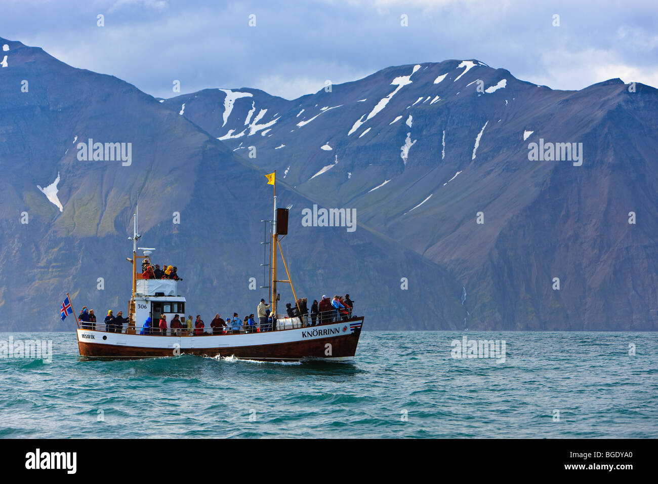 Whale Watching, Husavik, Islanda Foto Stock
