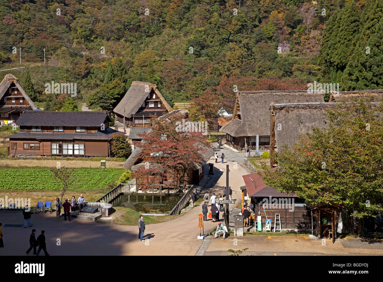 Fattorie con il tetto di paglia del villaggio Suganuma, Prefettura di Toyama, Giappone Foto Stock
