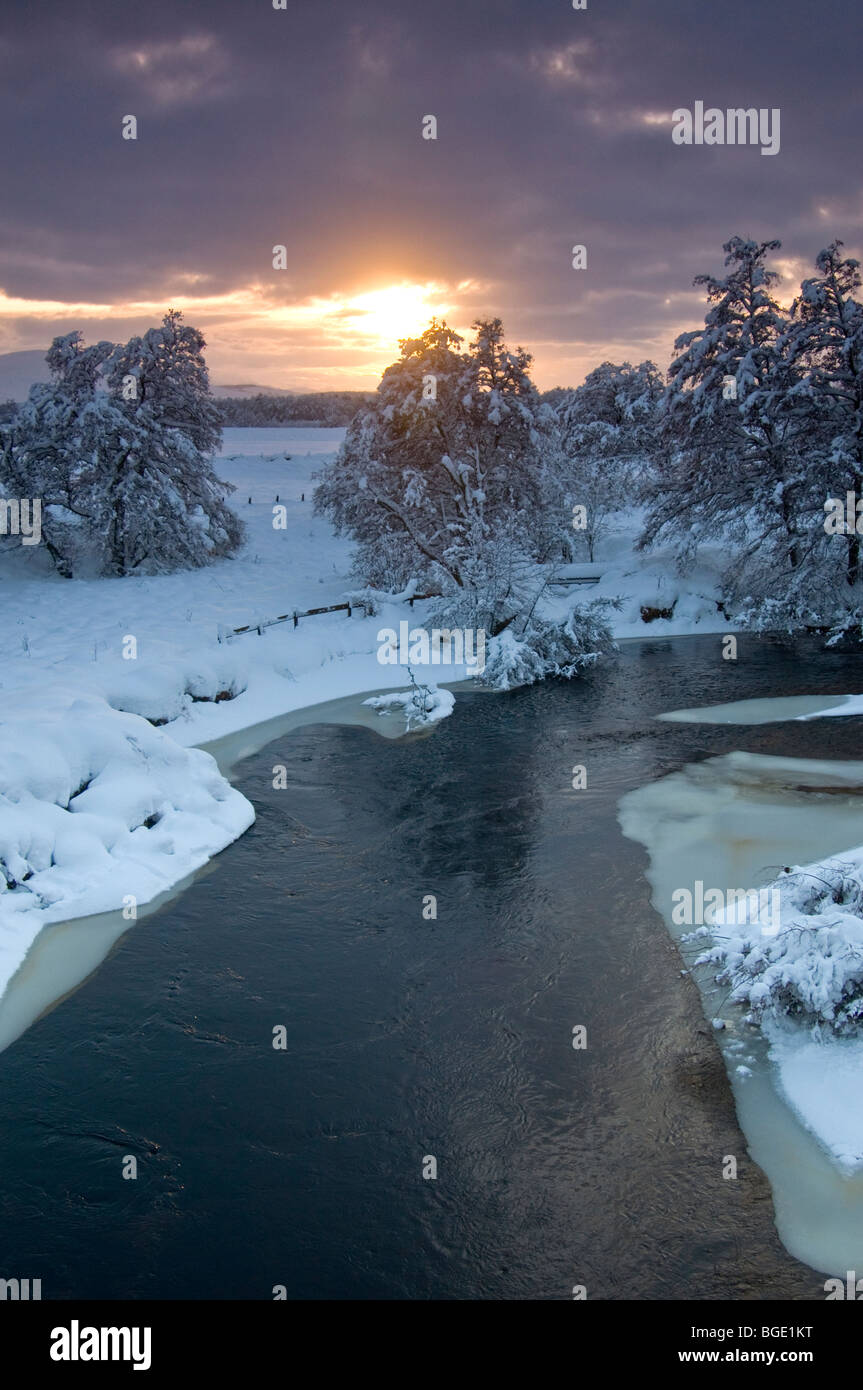 Condizioni invernali sul fiume Spey in Broomhill Nethybridge Strathspey regione delle Highlands Scozzesi. SCO 5726 Foto Stock