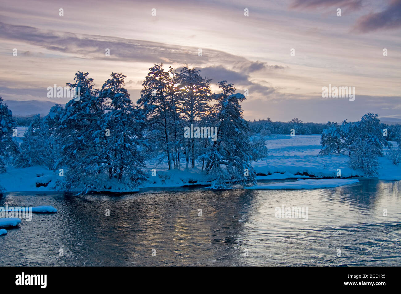 Condizioni invernali sul fiume Spey in Broomhill Nethybridge Strathspey regione delle Highlands Scozzesi. SCO 5728 Foto Stock