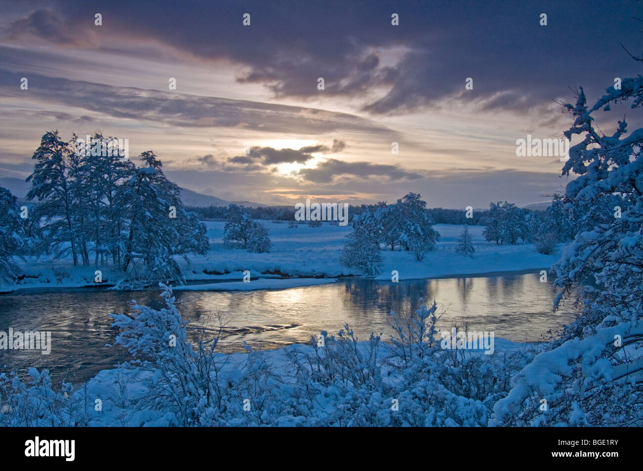 Condizioni invernali sul fiume Spey in Broomhill Nethybridge Strathspey regione delle Highlands Scozzesi. SCO 5727 Foto Stock