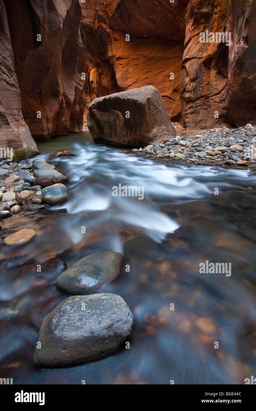 Virgin River Canyon nel Parco Nazionale di Zion, Utah, Stati Uniti d'America Foto Stock