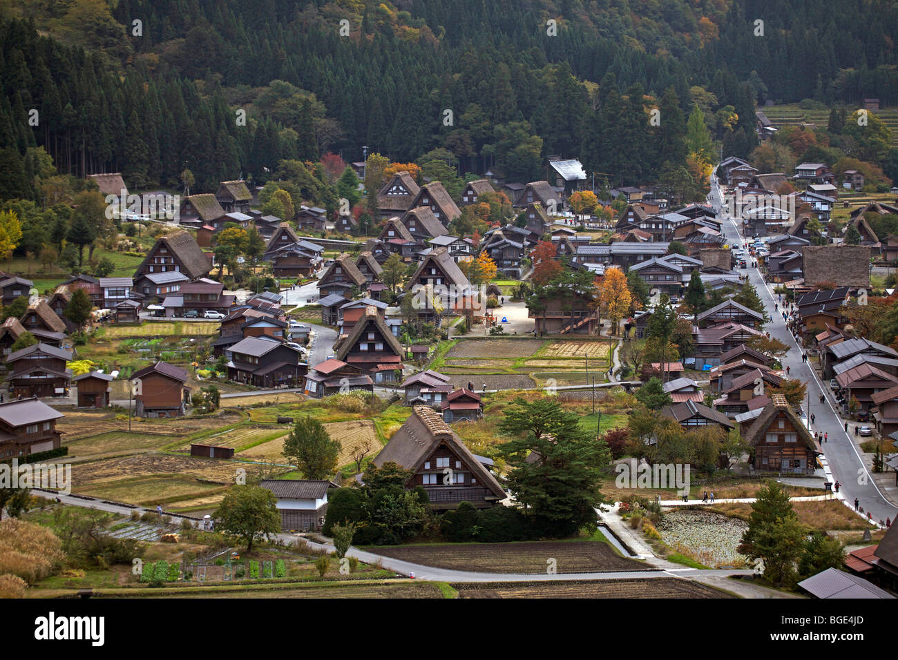 Con il tetto di paglia tradizionali case coloniche a Shirakawa Go village, Prefettura di Gifu, Giappone Foto Stock