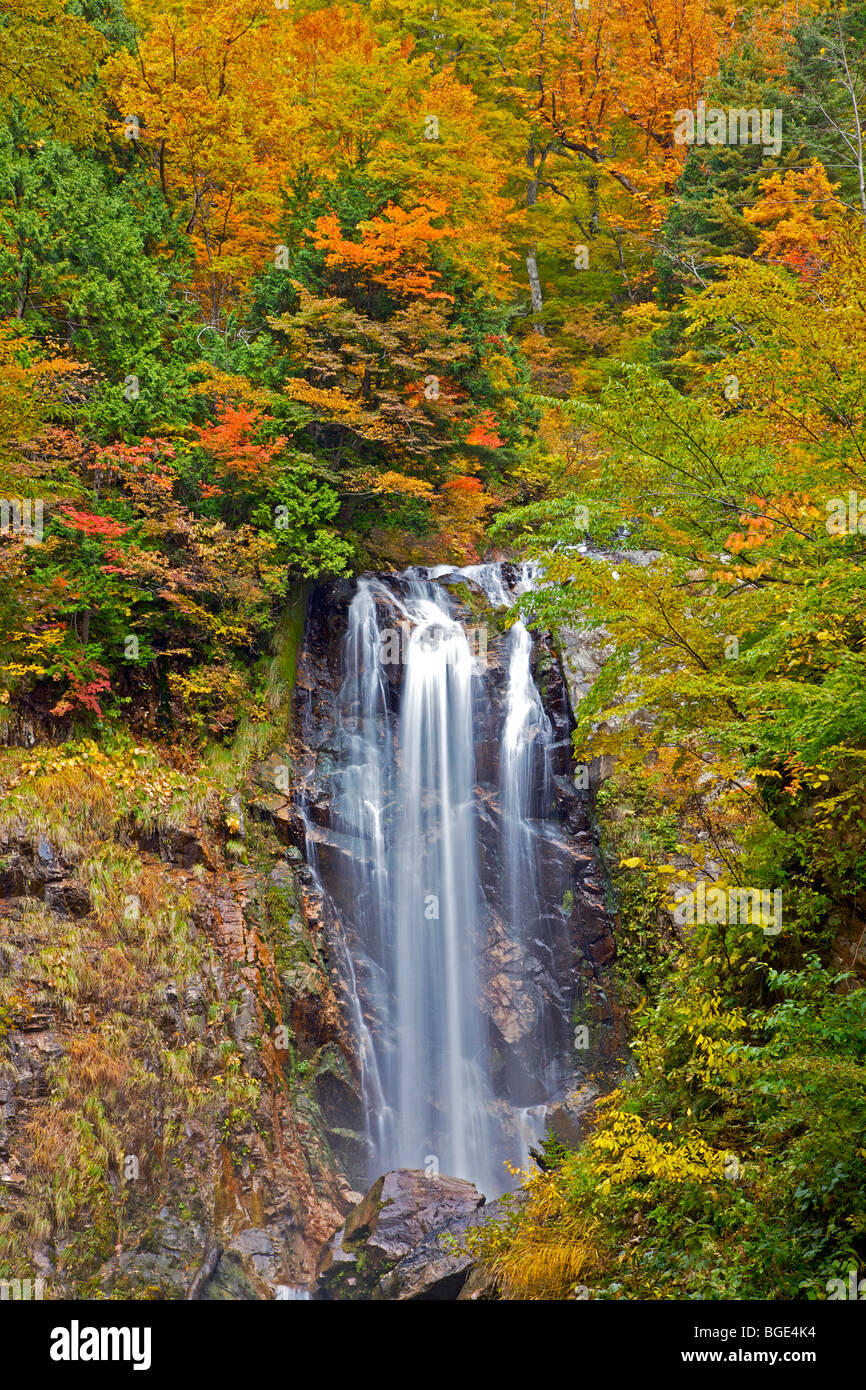 Cascata con fogliame di autunno vicino a Shirakawa, Prefettura di Gifu, Giappone Foto Stock