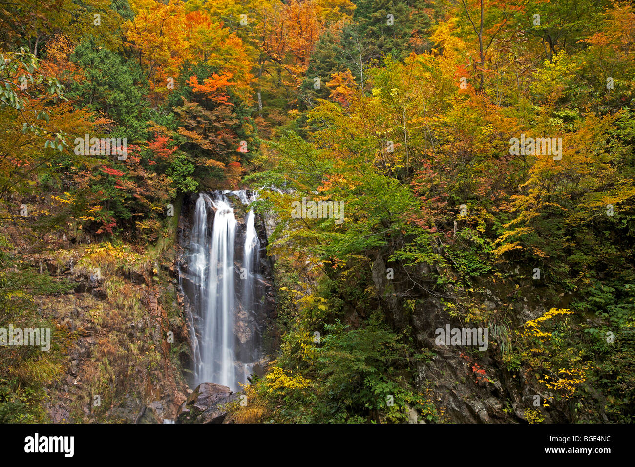 Cascata con fogliame di autunno vicino a Shirakawa, Prefettura di Gifu, Giappone Foto Stock
