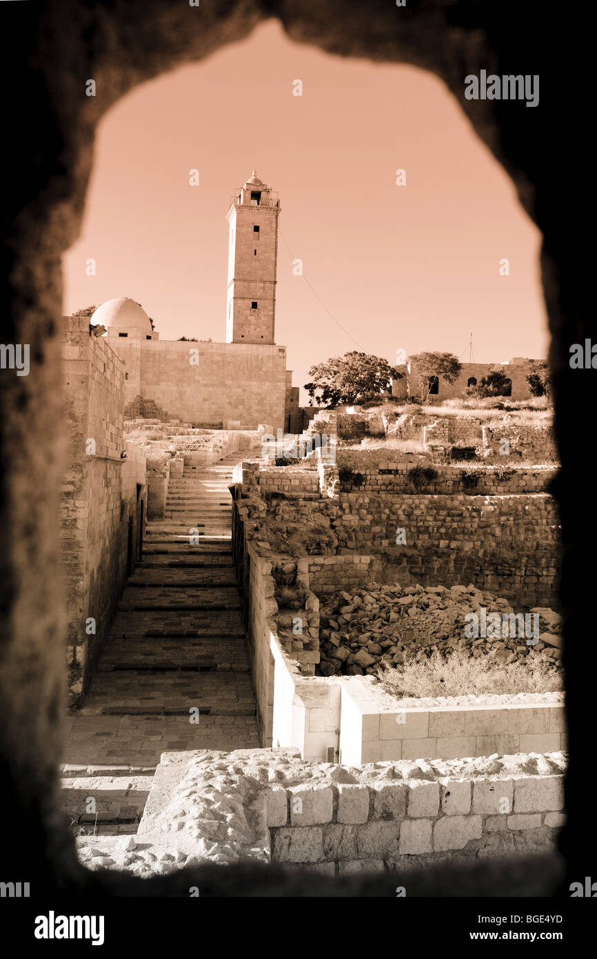 Siria, Aleppo, Old Town (Sito UNESCO), la Cittadella Foto Stock