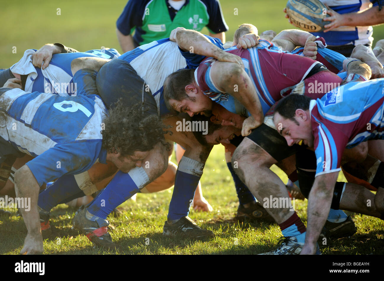 Giocatori di Rugby da Hove indossando claret e magliette blu e Lewes indossando blue in azione durante una partita Foto Stock