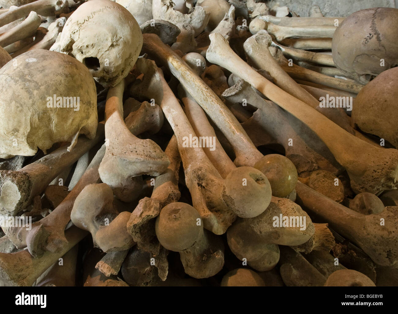 Medieval teschi umani e ossa lunghe impilati nell'ossario di St Leonards chiesa, Hythe, Kent, Inghilterra Foto Stock