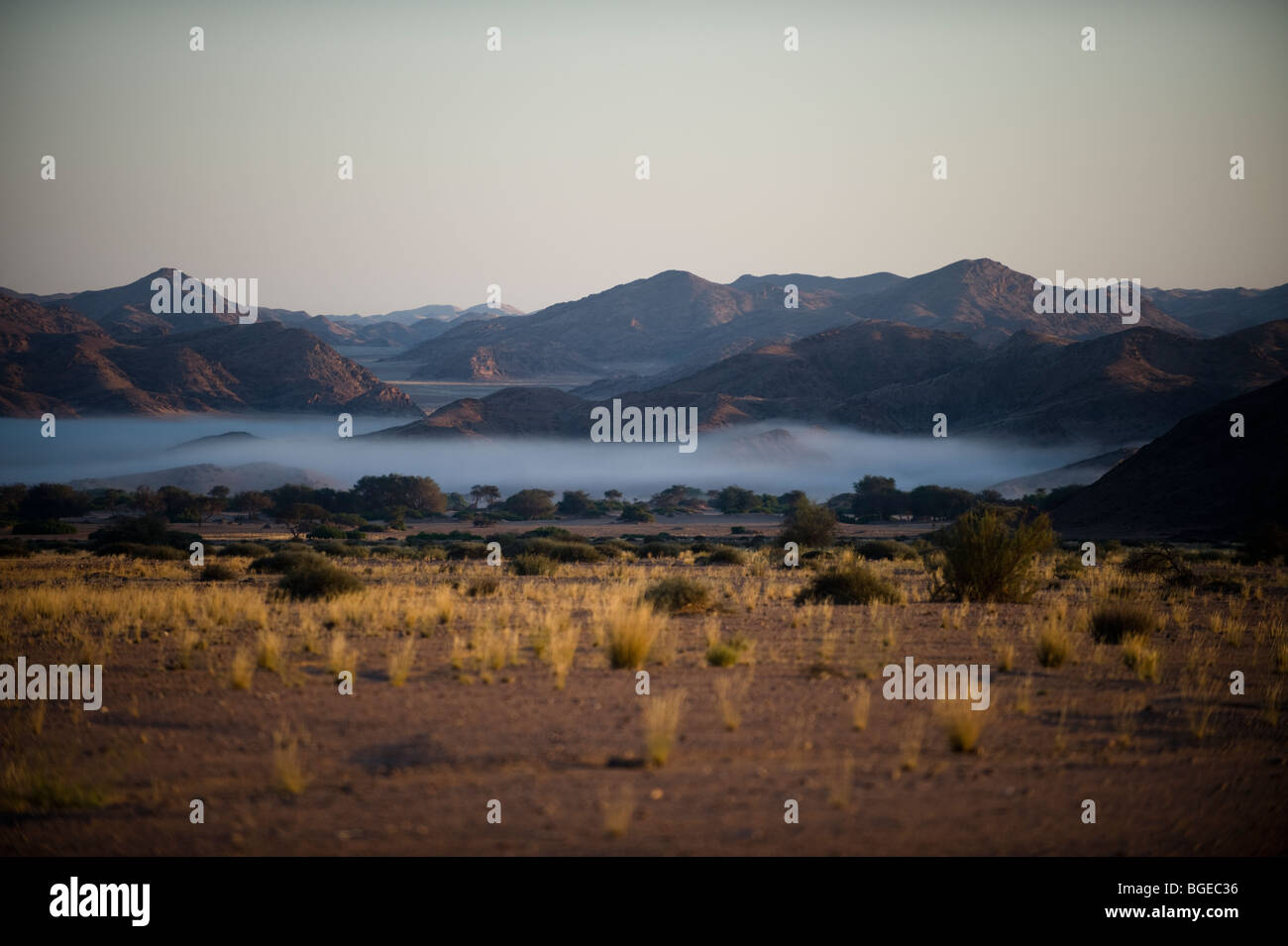 Nebbia mattutina nel Hoanib River Valley, Namibia Foto Stock