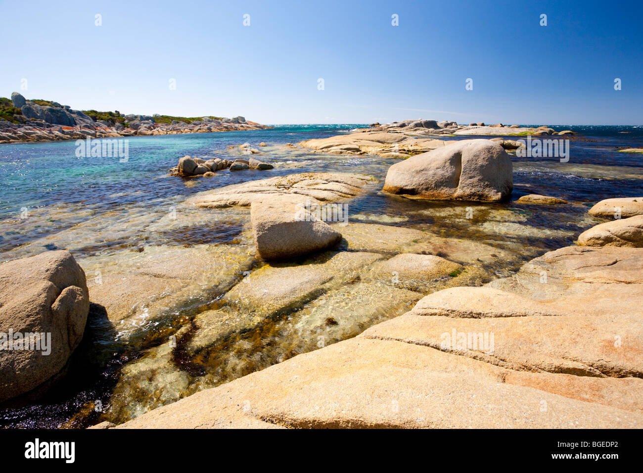 Montare William National Park, la Tasmania Australia Foto Stock
