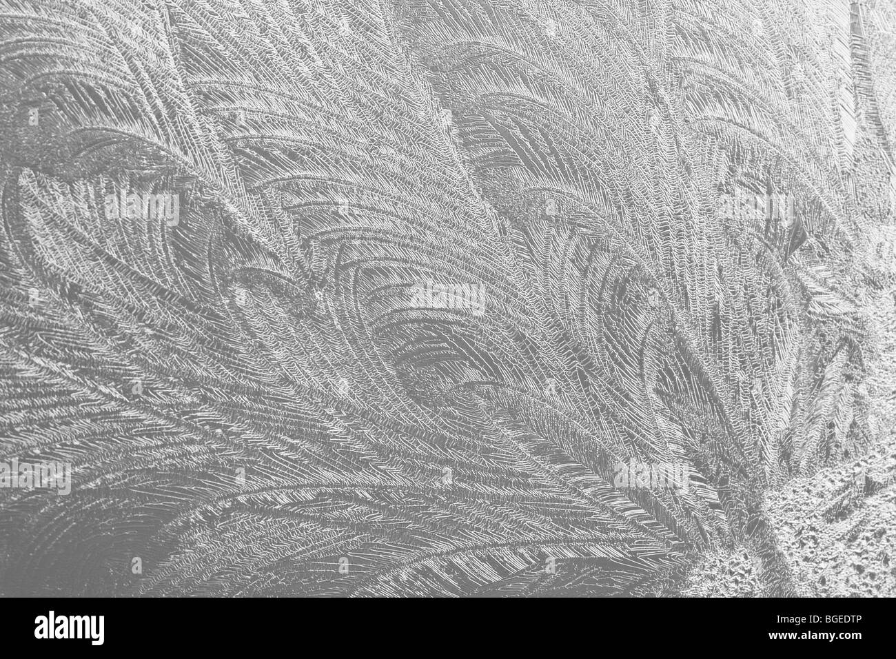 Schema a fiocco di neve congelate Frost congela vetro ghiacciato Foto Stock