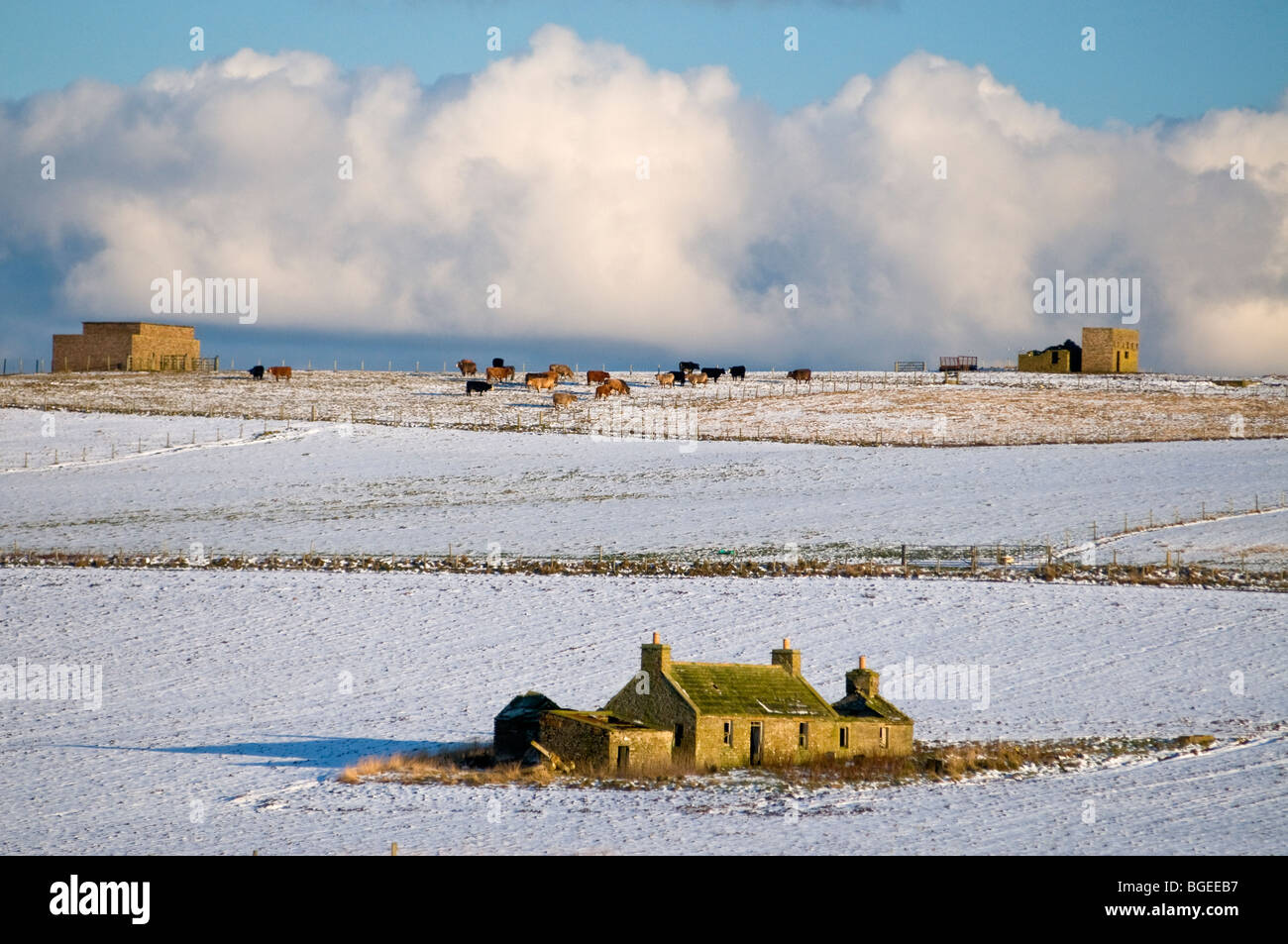 Abbandonato casa Croft nel nord di Orkney continentale Foto Stock