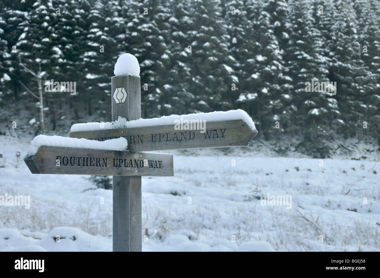 Southern Upland Way signpost, vicino a Moffat, Scozia Foto Stock