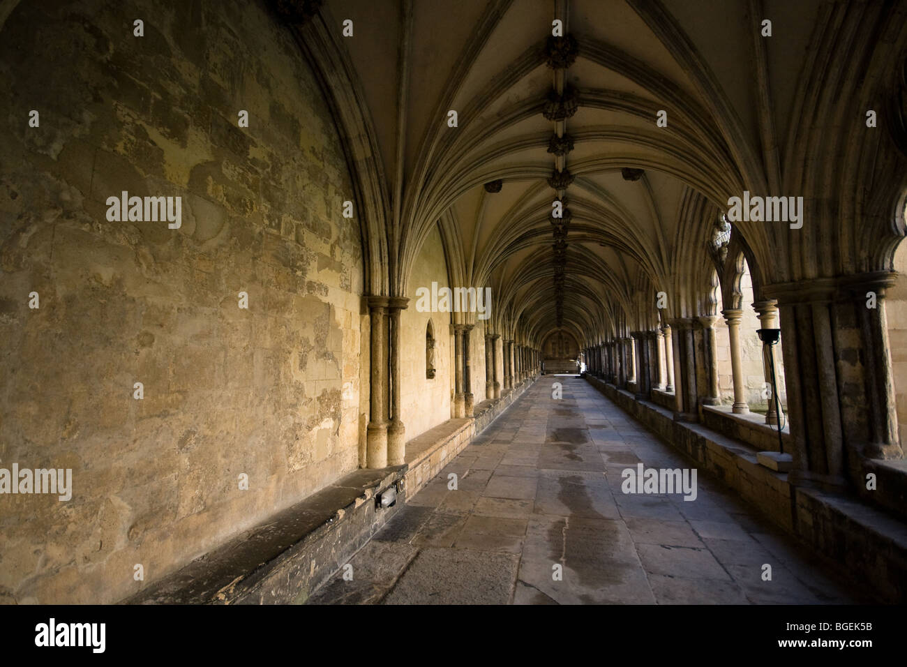 Intorno a Norwich Cathedral nel cuore del Norfolk, Inghilterra Foto Stock