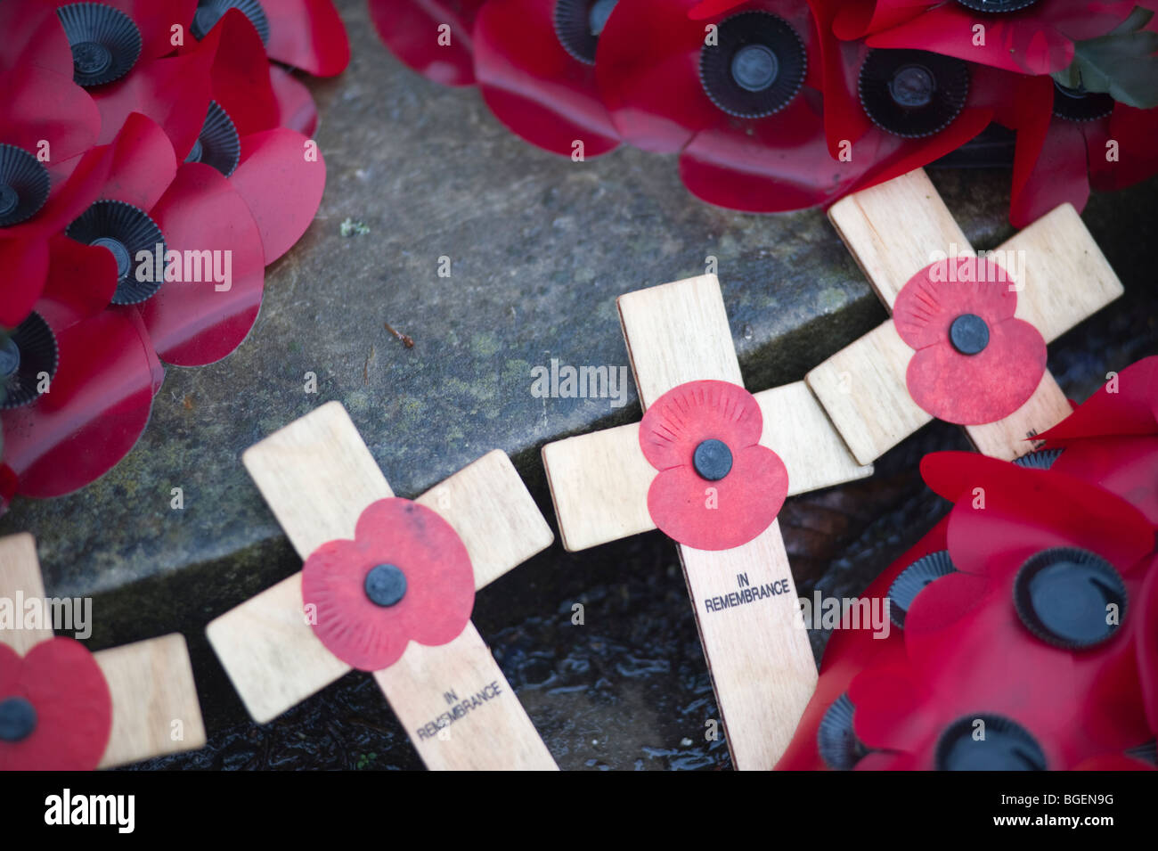Papaveri simbolico al memoriale di guerra a Londra, Inghilterra, Regno Unito. Foto Stock