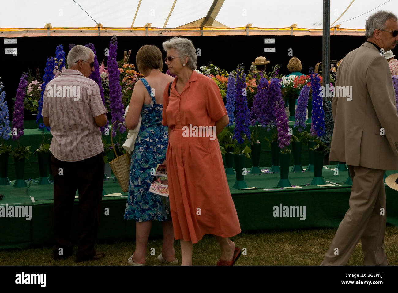 RHS spettacolo presso il Royal Norfolk Show 2009 Foto Stock