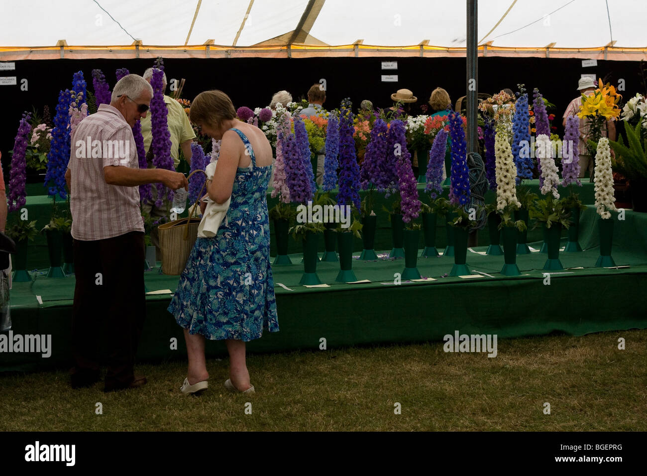RHS spettacolo presso il Royal Norfolk Show 2009 Foto Stock