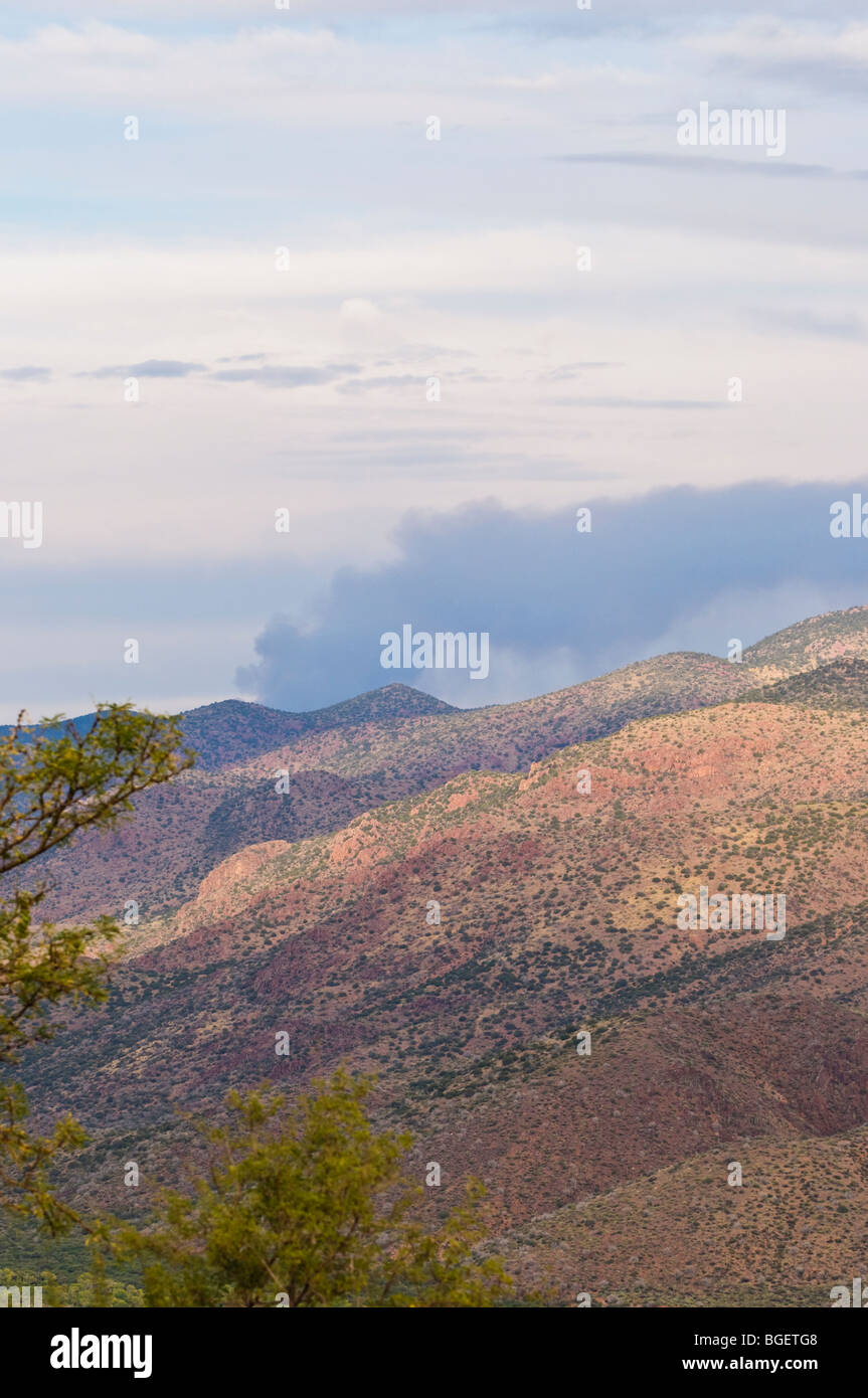 Fumo di un fuoco di foresta sul Mogollon Rim a nord-ovest di Gisela, Arizona Foto Stock