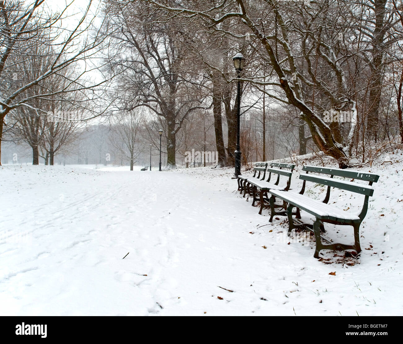 Una mattina la caduta di neve copre i sentieri nel parco e riempie le panche con soffice polvere di neve Foto Stock