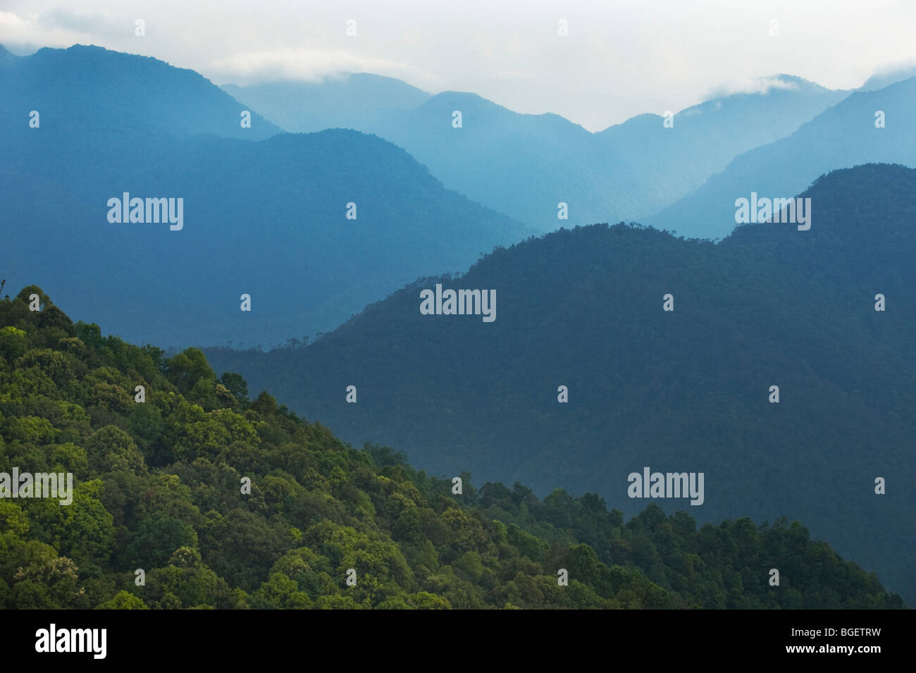 Black Mountain National Park sopra la valle Shemgang, Bhutan Foto Stock