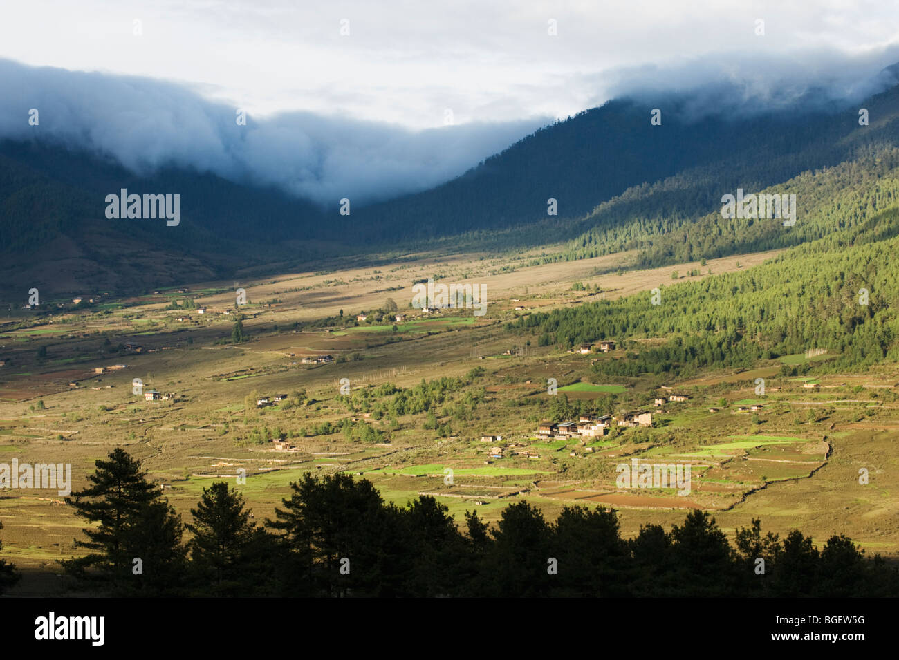 Phobjika Valley, ca. 10.000 piedi, BHUTAN : Area protetta per gru Black-Necked Foto Stock