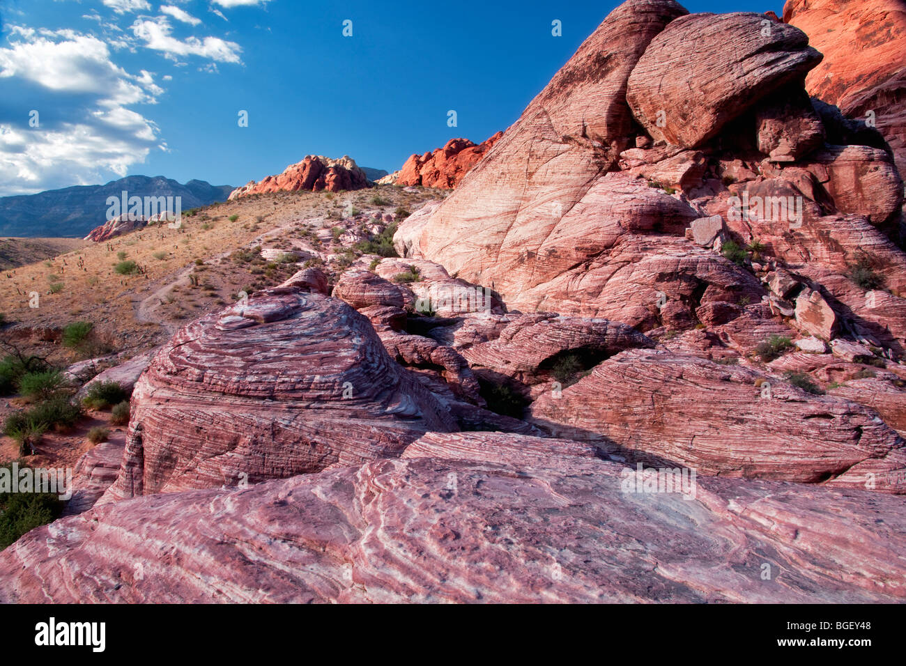 Formazioni rocciose nella Red Rock Canyon National Conservation Area, Nevada Foto Stock
