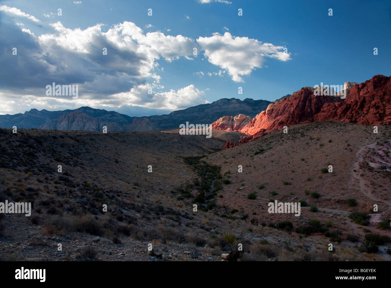 Formazioni rocciose nella Red Rock Canyon National Conservation Area, Nevada Foto Stock
