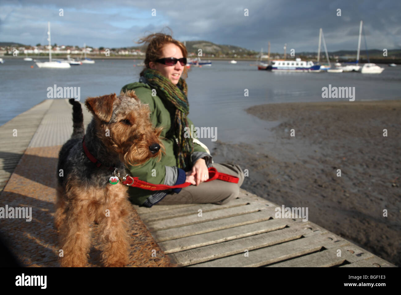 Un Welsh Terrier e proprietario prendere un periodo di riposo durante un cane a camminare a Conwy, il Galles del Nord. Foto Stock